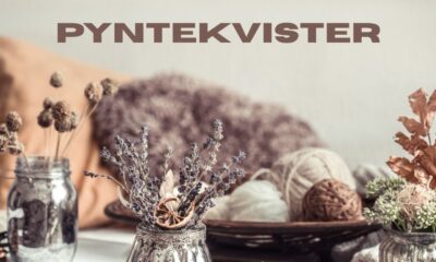 pyntekvister