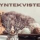 pyntekvister